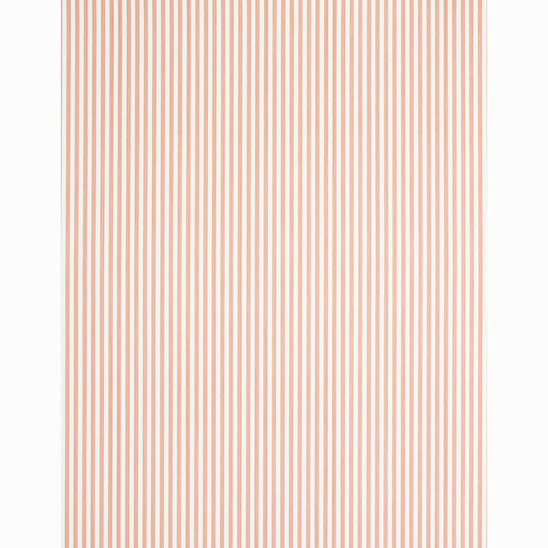 EDWIN STRIPE NARROW | Pink