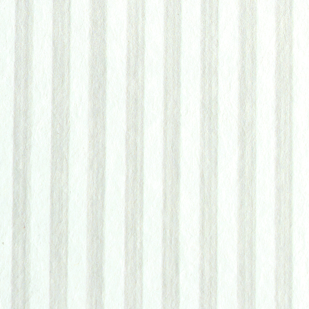EDWIN STRIPE NARROW | Birch
