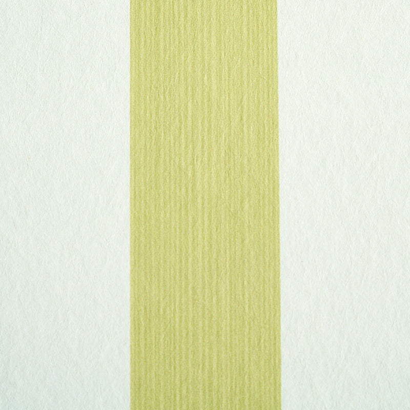 EDWIN STRIPE MEDIUM | Citron
