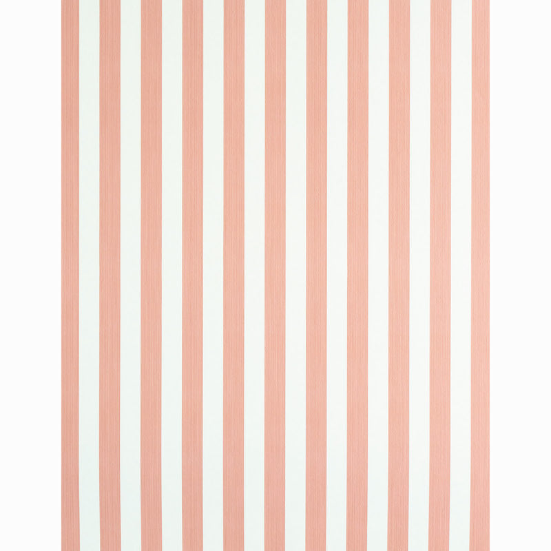 EDWIN STRIPE MEDIUM | Pink