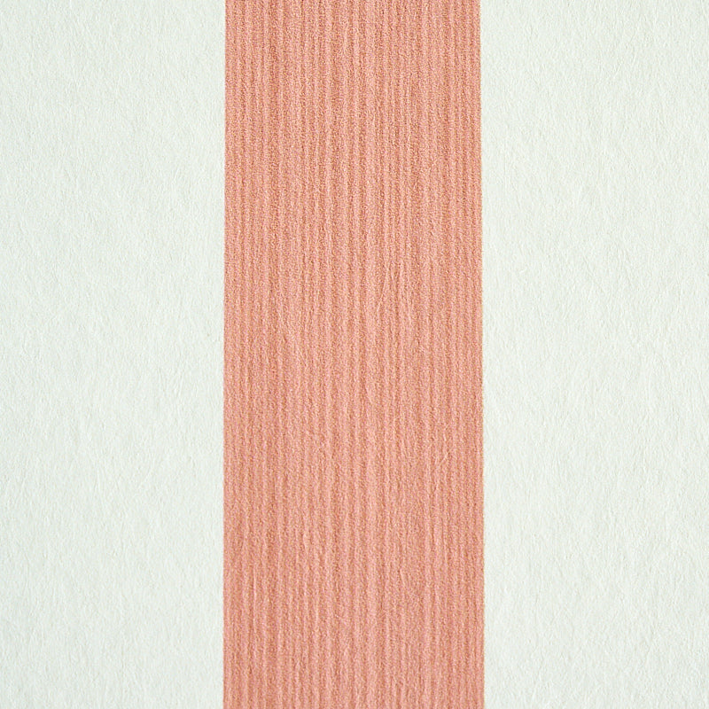 EDWIN STRIPE MEDIUM | Pink