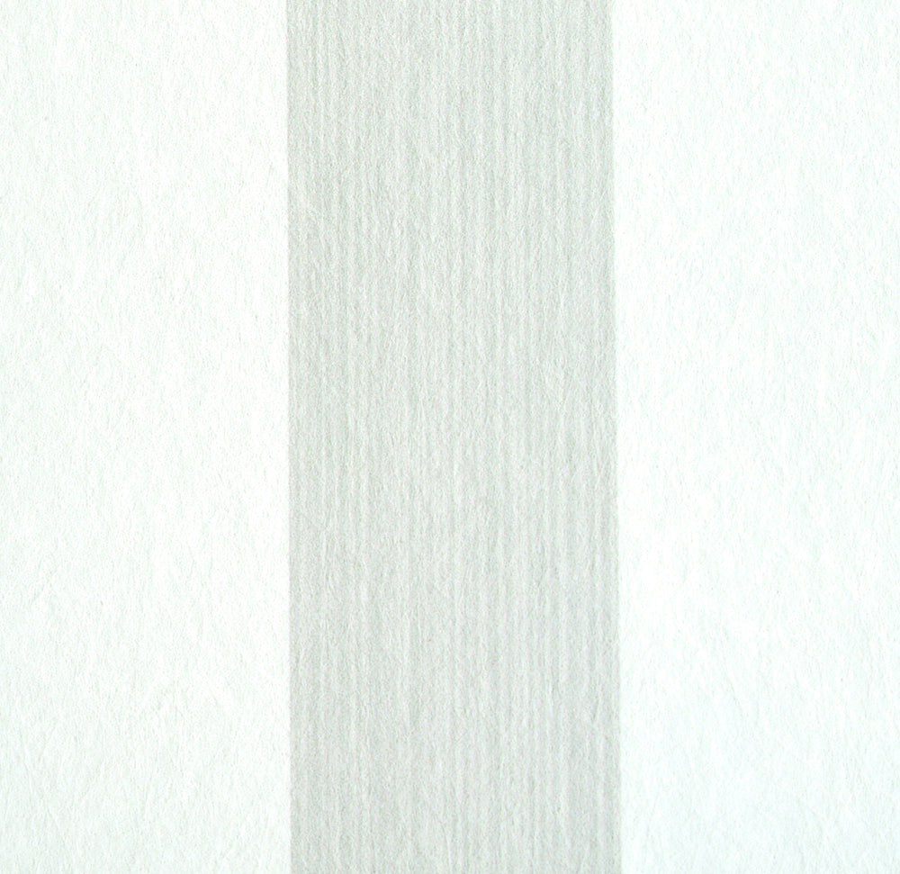 EDWIN STRIPE MEDIUM | Birch