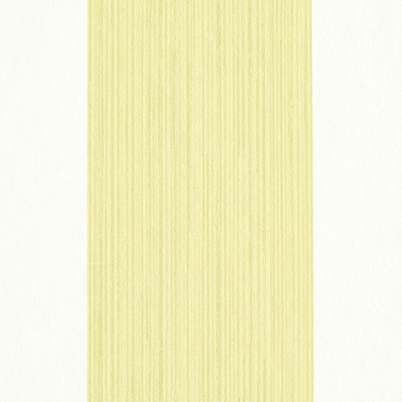 EDWIN STRIPE WIDE | Citron