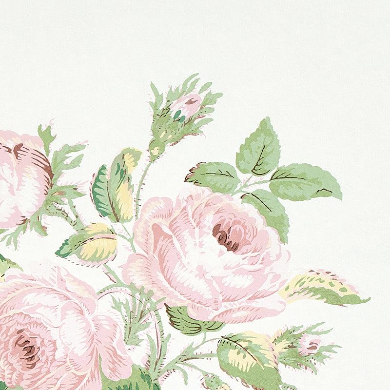 ROSA DI LOUDON | ARROSSIRE