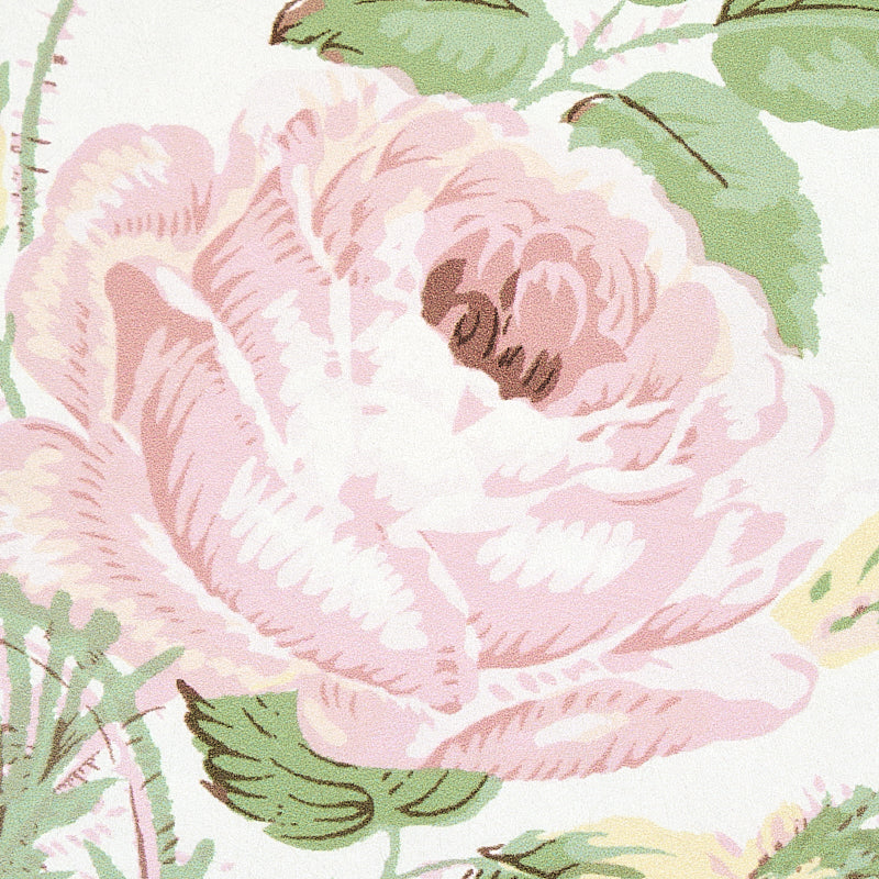 ROSA DI LOUDON | ARROSSIRE
