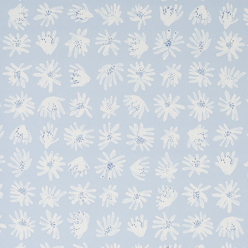 PRATO ROCCIA | CIELO