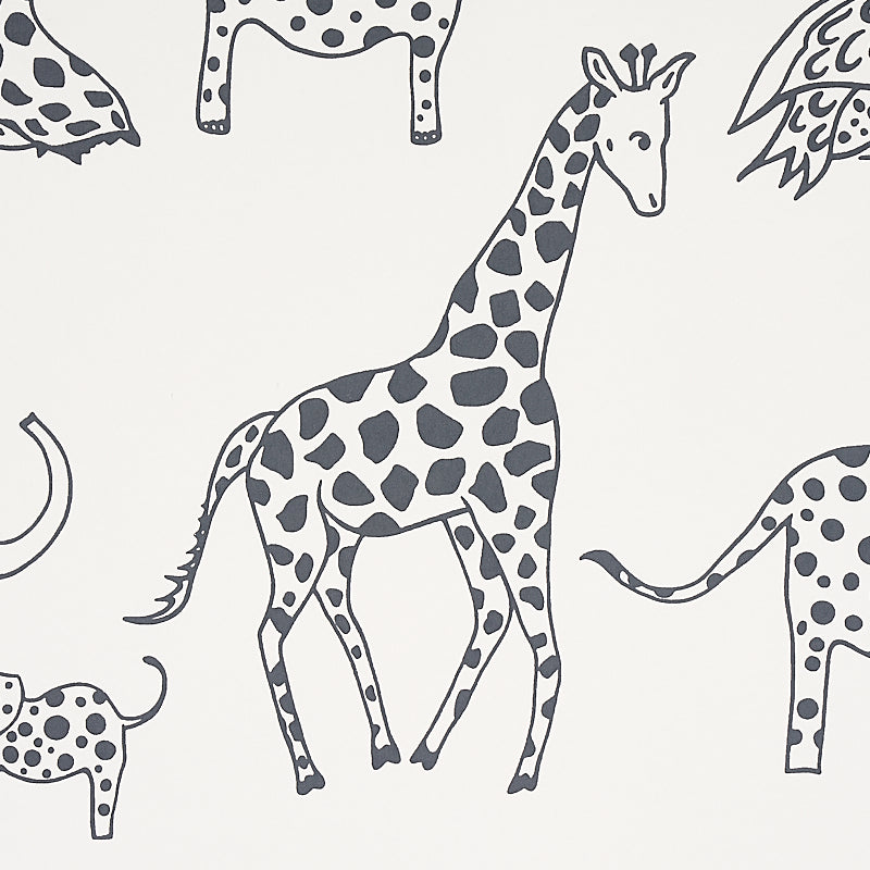 GIUBILEO DELLA GIUNGLA | CARBONE