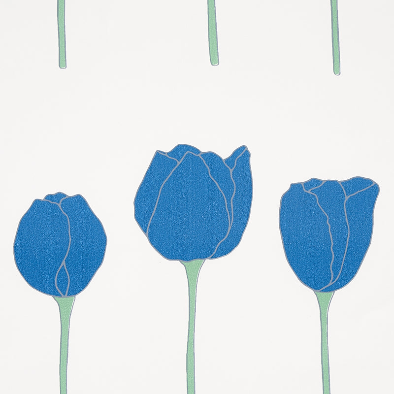 EDIE | PAPPAGALLO BLU