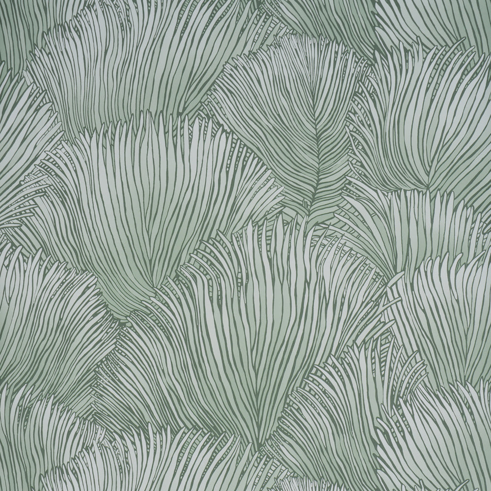FONDALE | Mineral