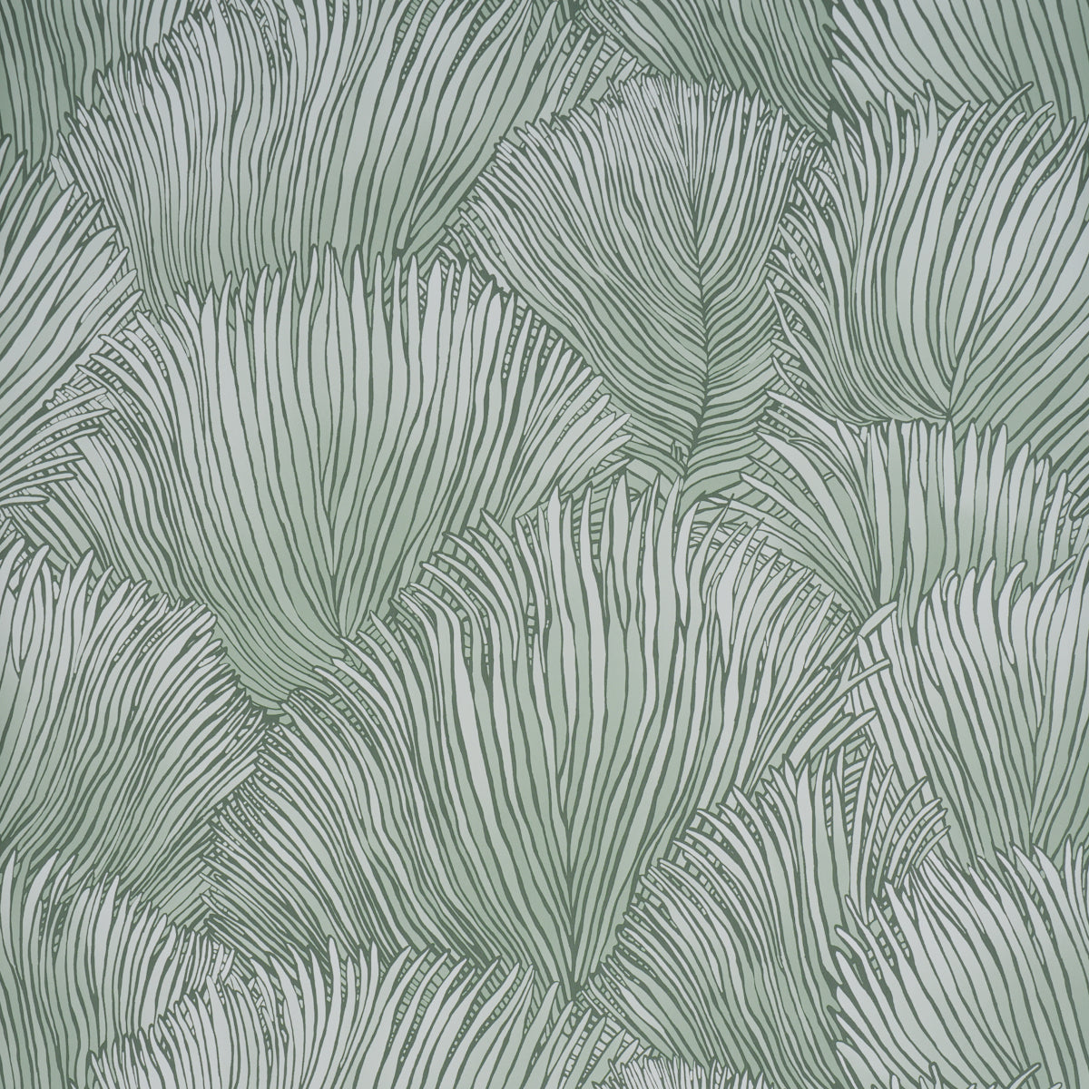 FONDALE | Mineral