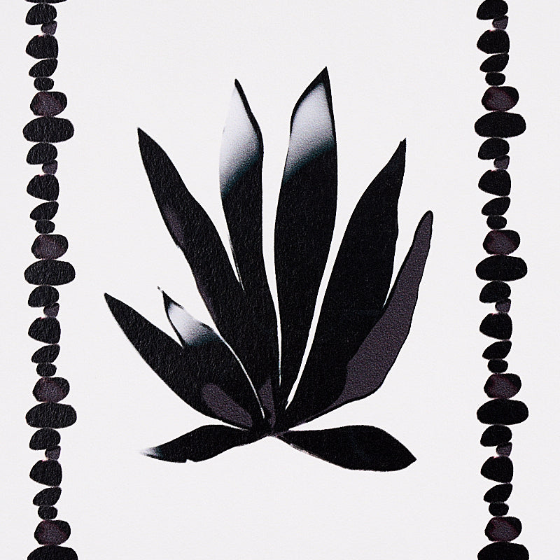 STRISCIA DI AGAVE | PERGAMENA