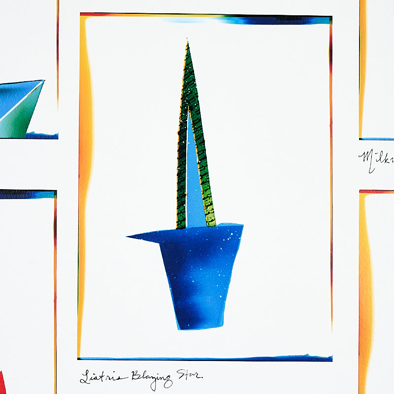 BOTANICHE | SPETTRO MULTI