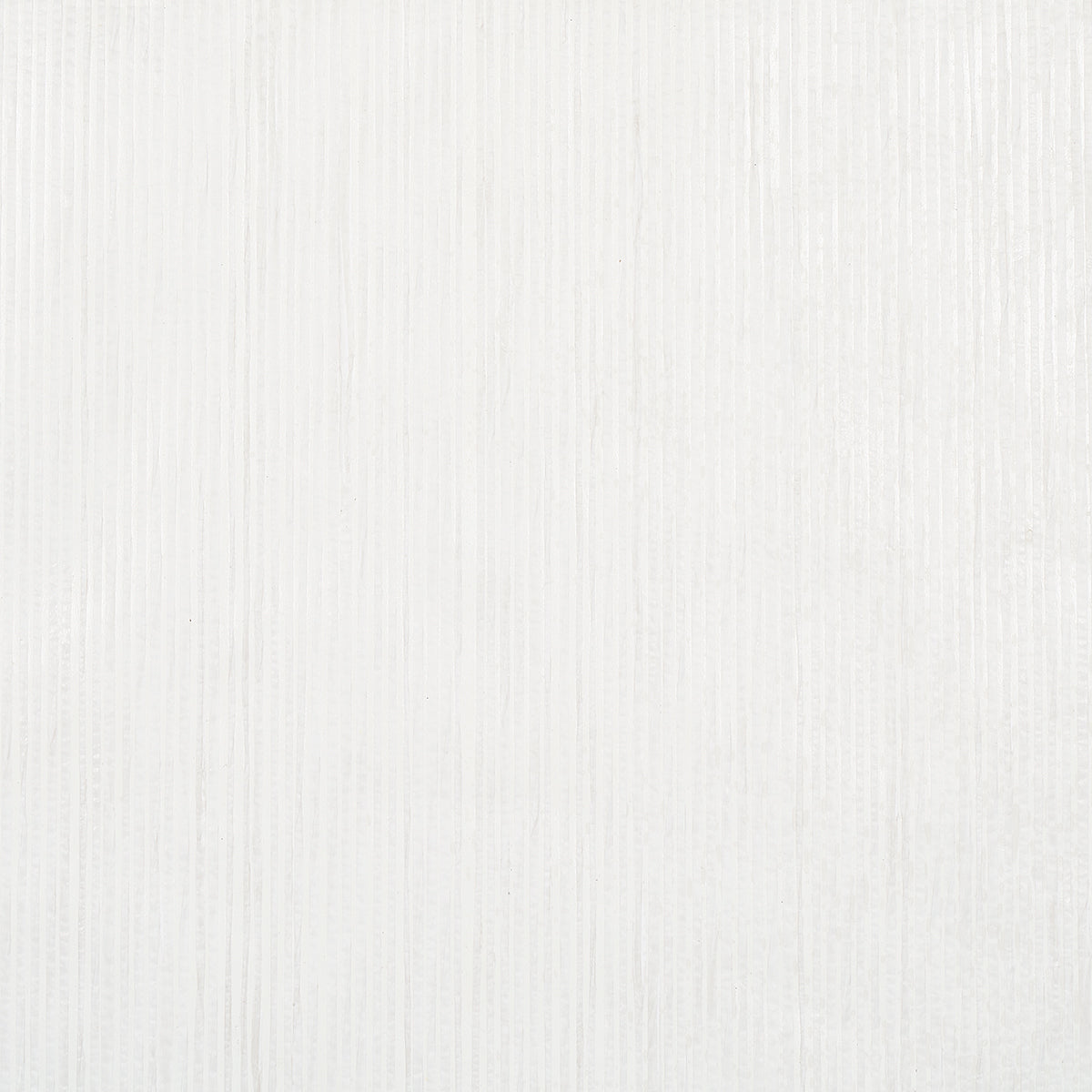 STRISCIA DI CARTA | BIANCO