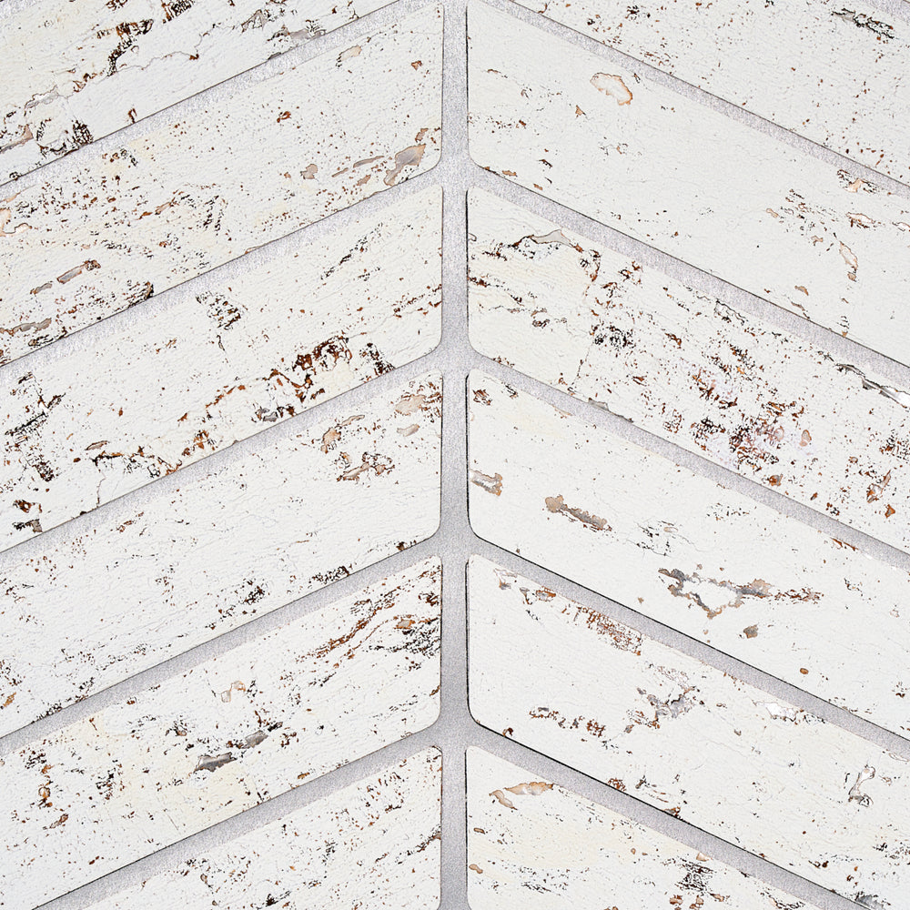 SPINA DI SUGHERO | BIANCO