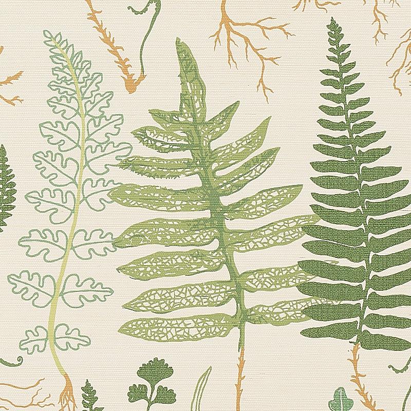 HALCOTT SISAL | FORESTA