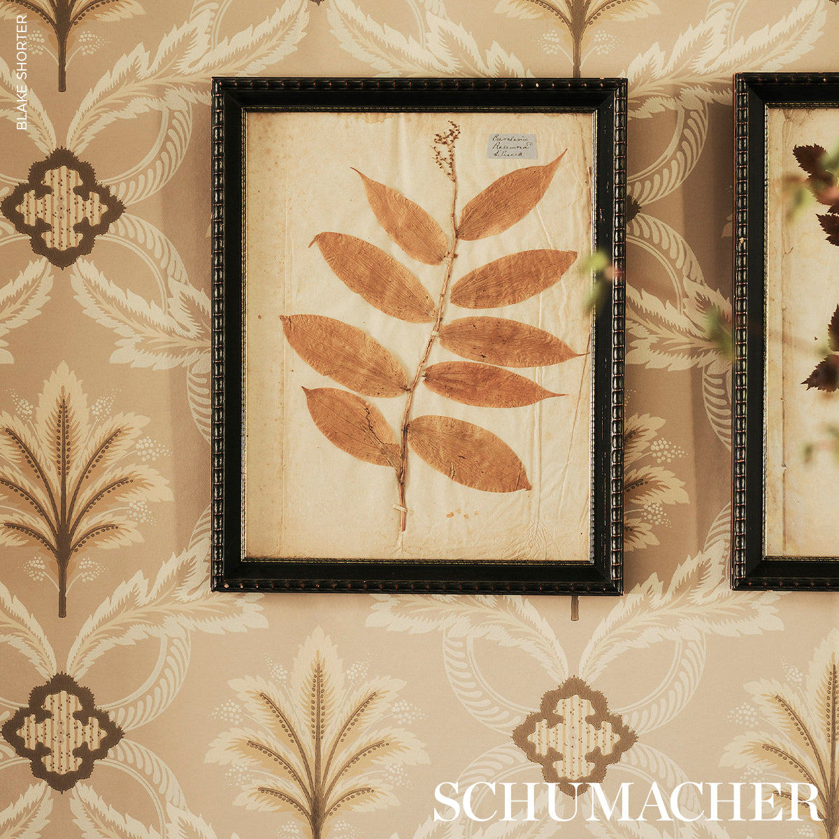 FRONT WALTZ | Taupe
