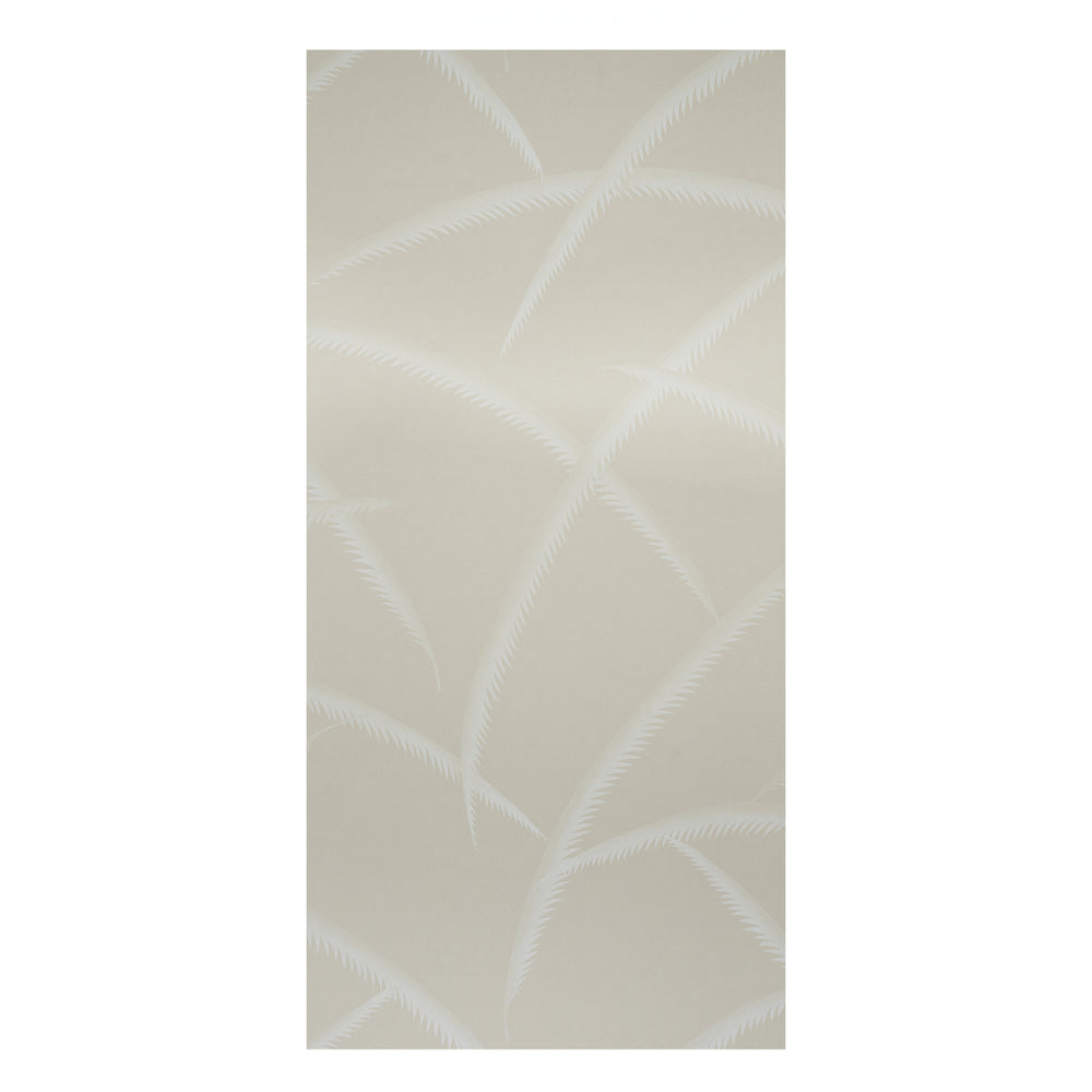 PALME DECO | AVORIO SU NATURALE