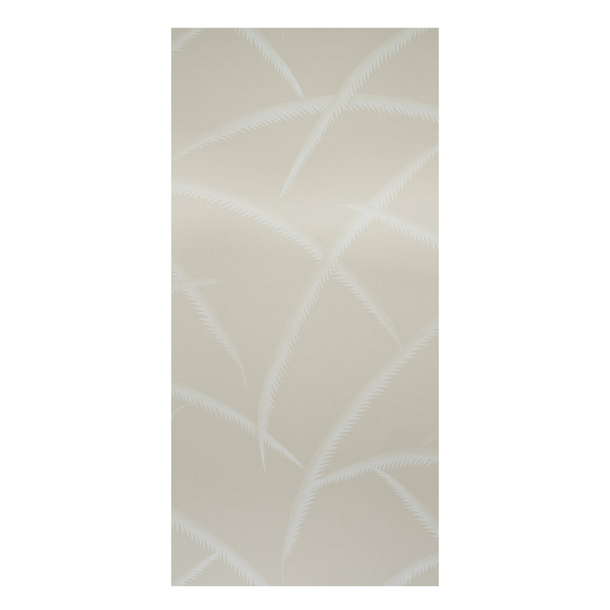 PALME DECO | AVORIO SU NATURALE