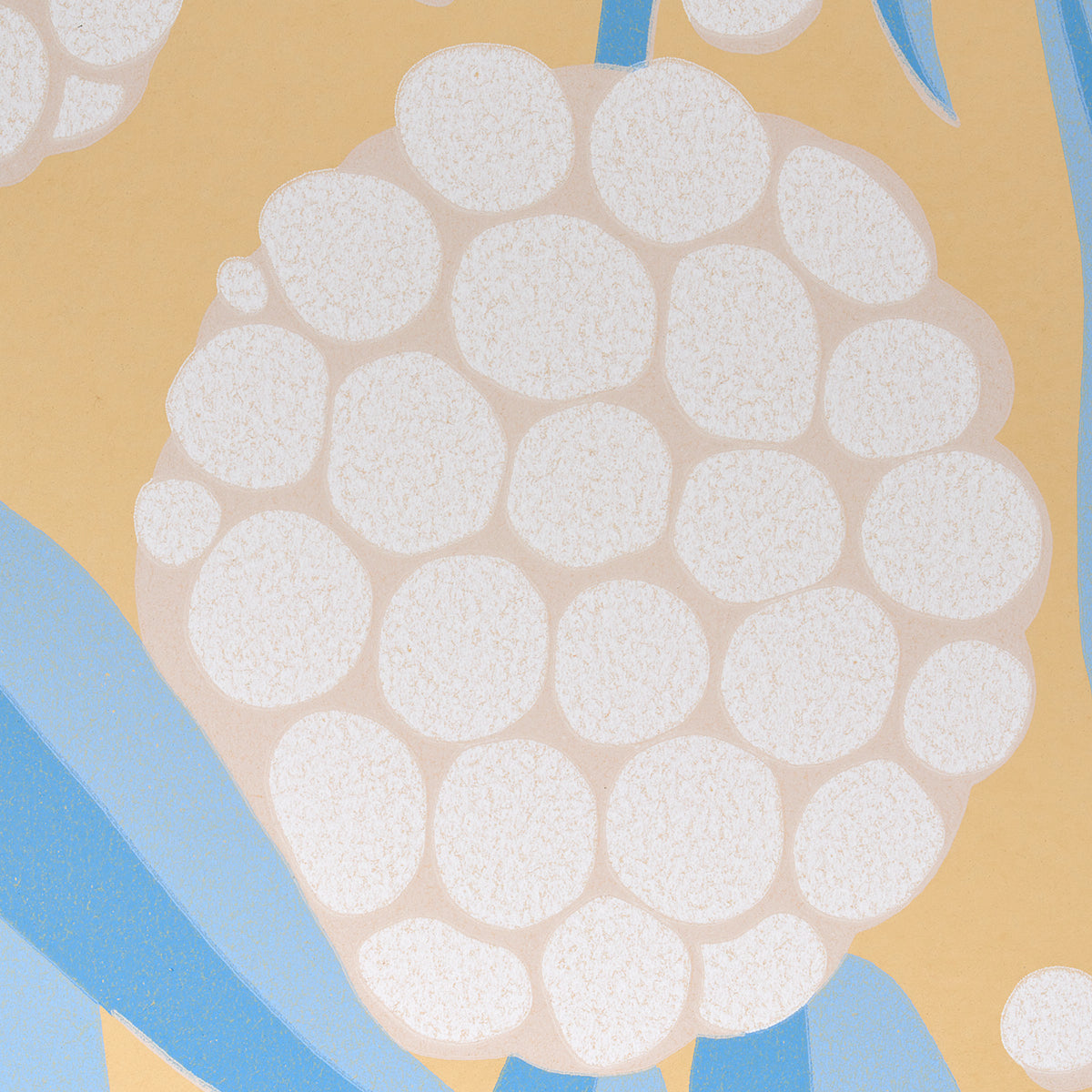 RUBUS | Yellow
