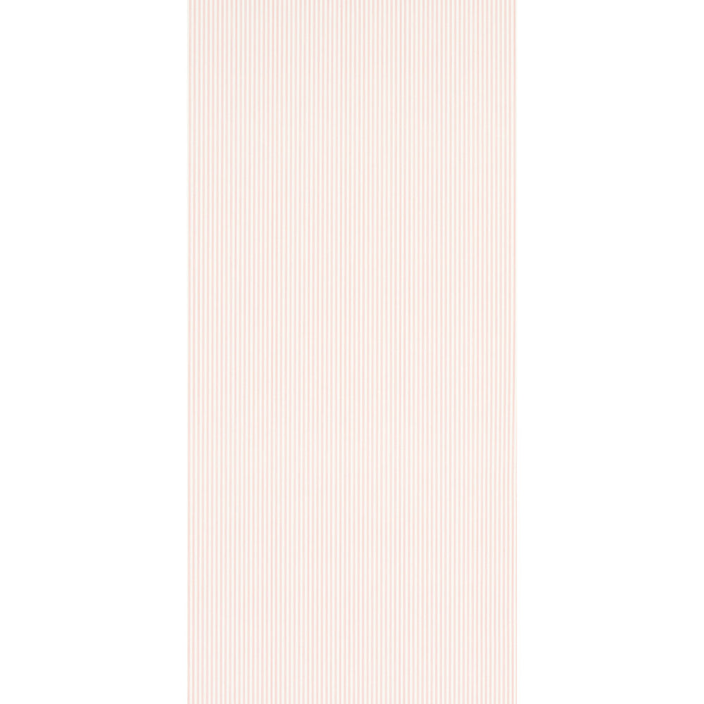 EDWIN STRISCIA STRETTA | PETALO