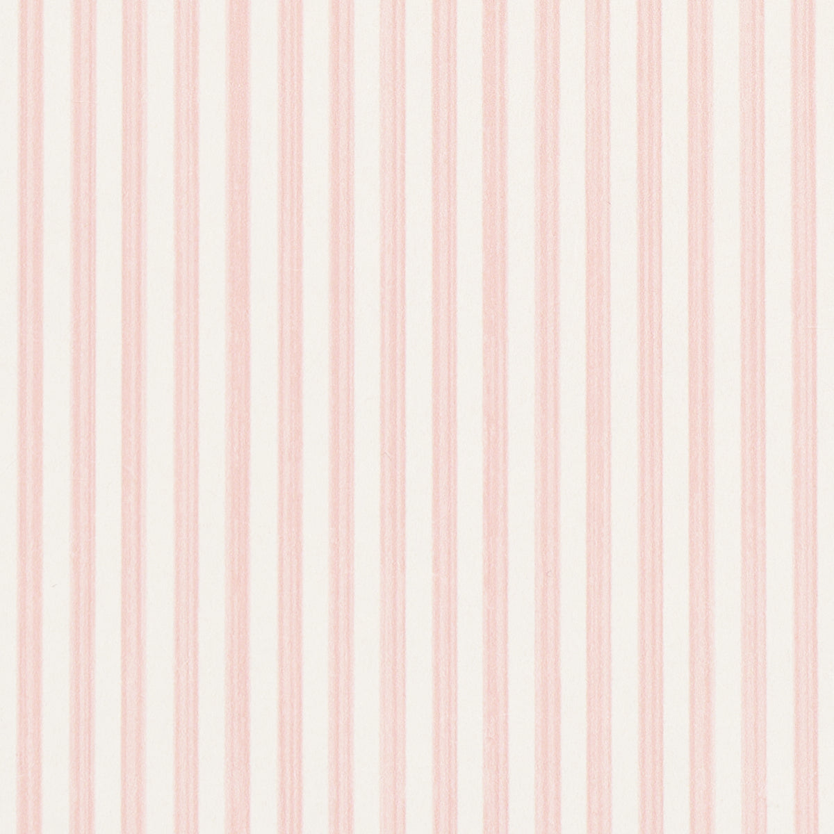 EDWIN STRISCIA STRETTA | PETALO