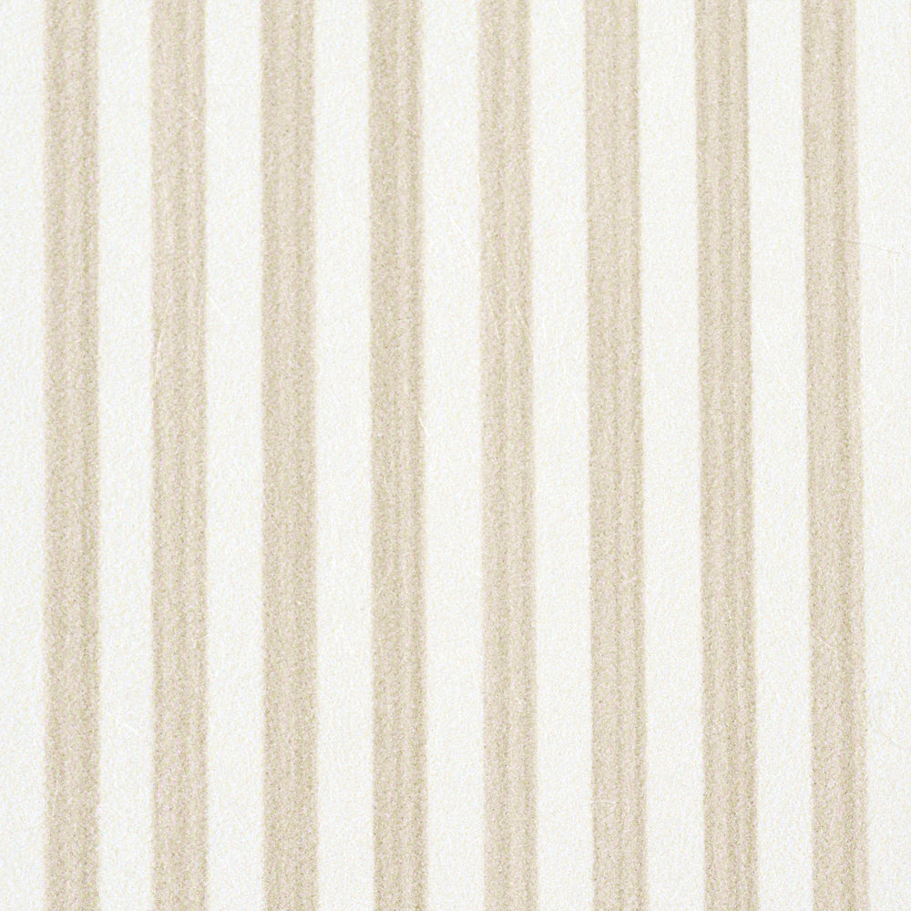 EDWIN STRISCIA STRETTA | PAGLIA