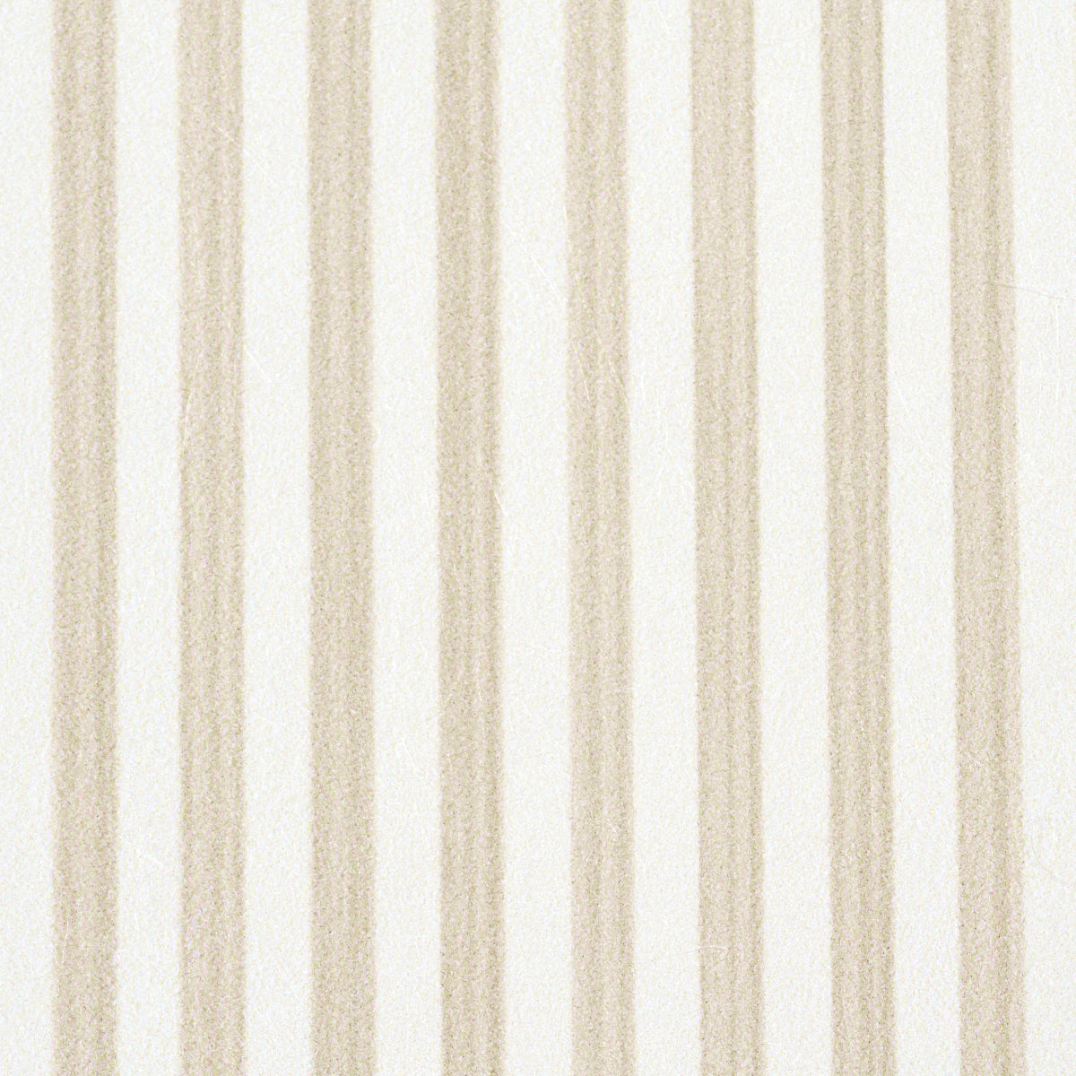 EDWIN STRISCIA STRETTA | PAGLIA