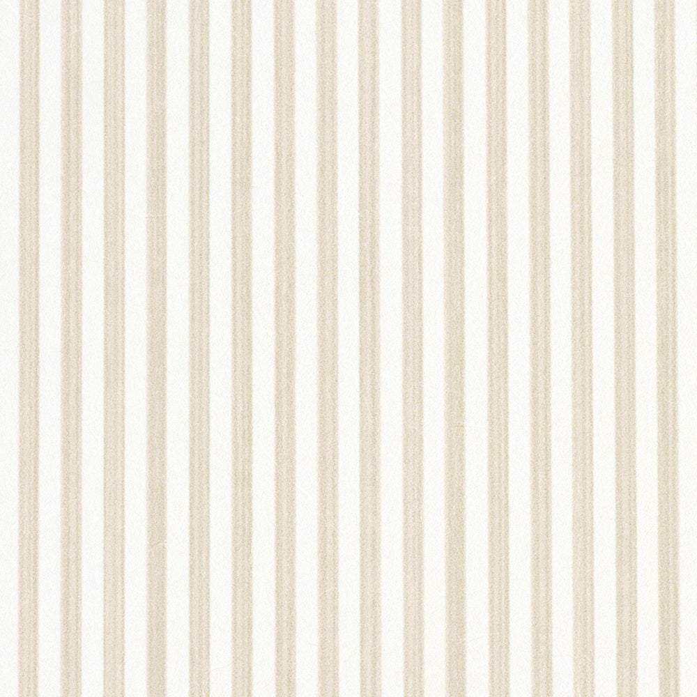 EDWIN STRISCIA STRETTA | PAGLIA