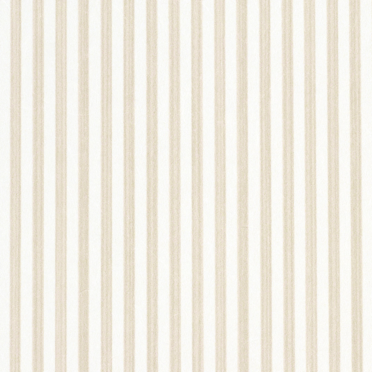 EDWIN STRISCIA STRETTA | PAGLIA