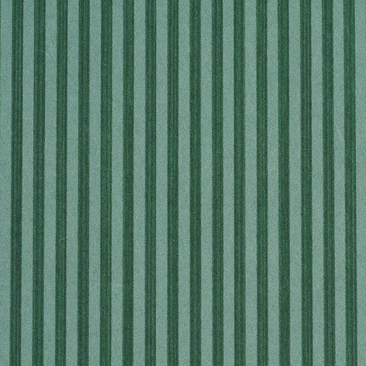 EDWIN STRISCIA STRETTA | VERDE SCURO