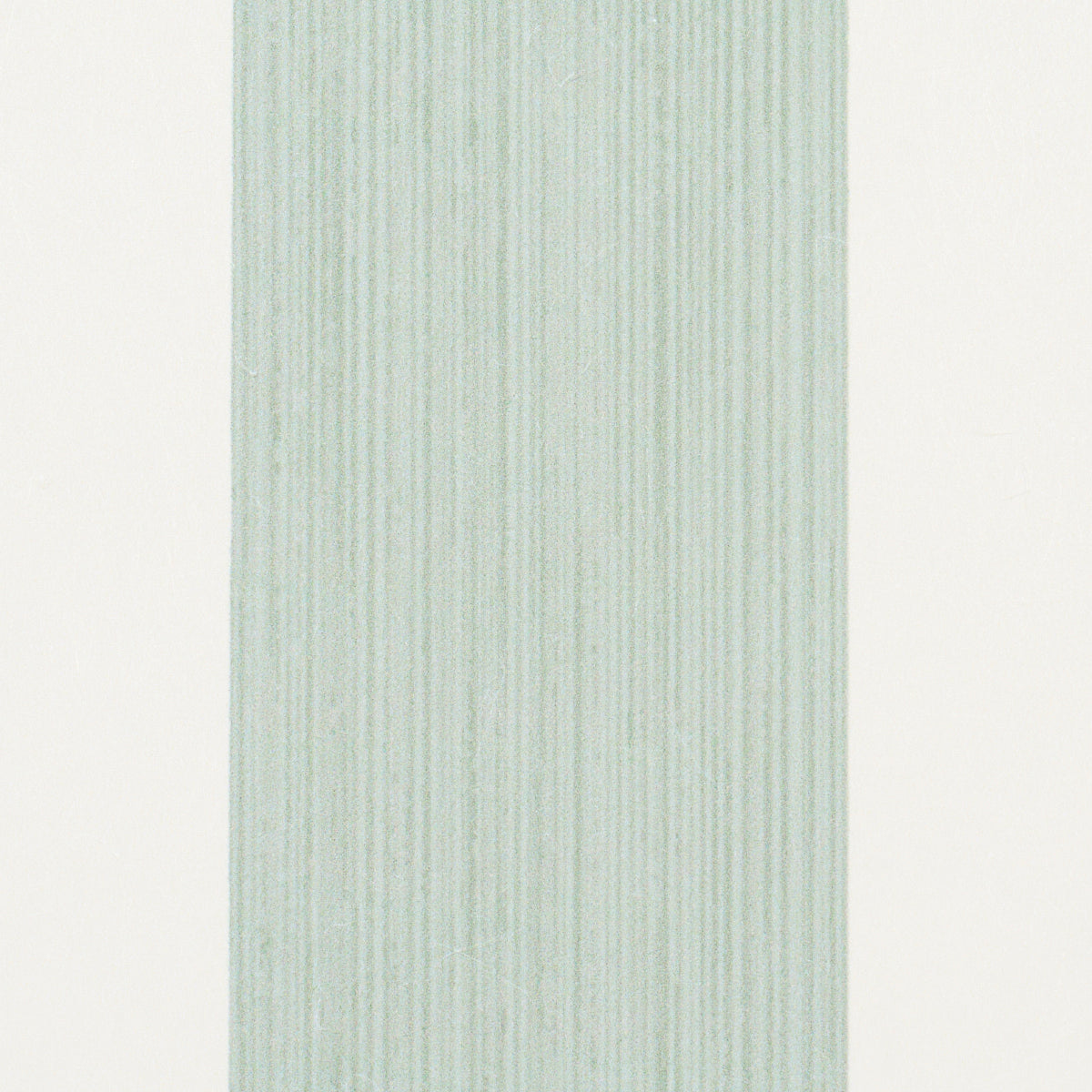 EDWIN STRISCIA LARGA | EUCALIPTO