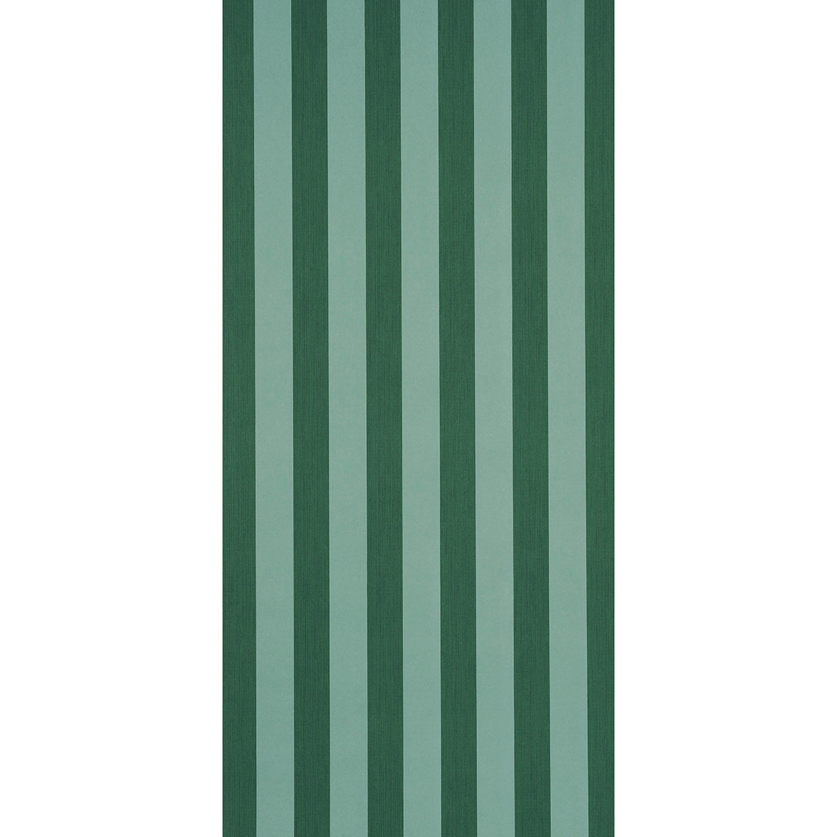 EDWIN STRIPE WIDE | Dark Green