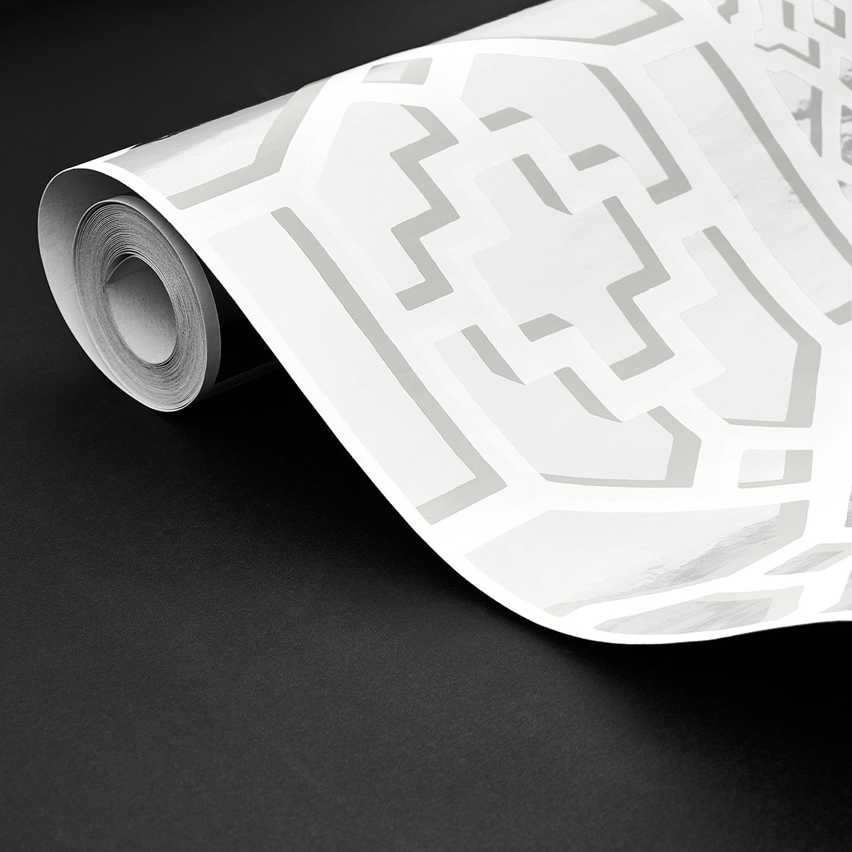 TRALICCIO MYLAR DI ZANZIBAR | MYLAR ARGENTO