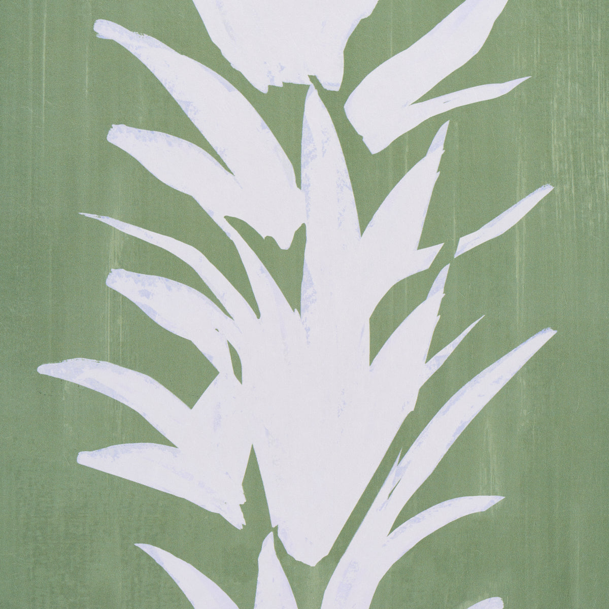 LOTO BIANCO | VERDE MORBIDO