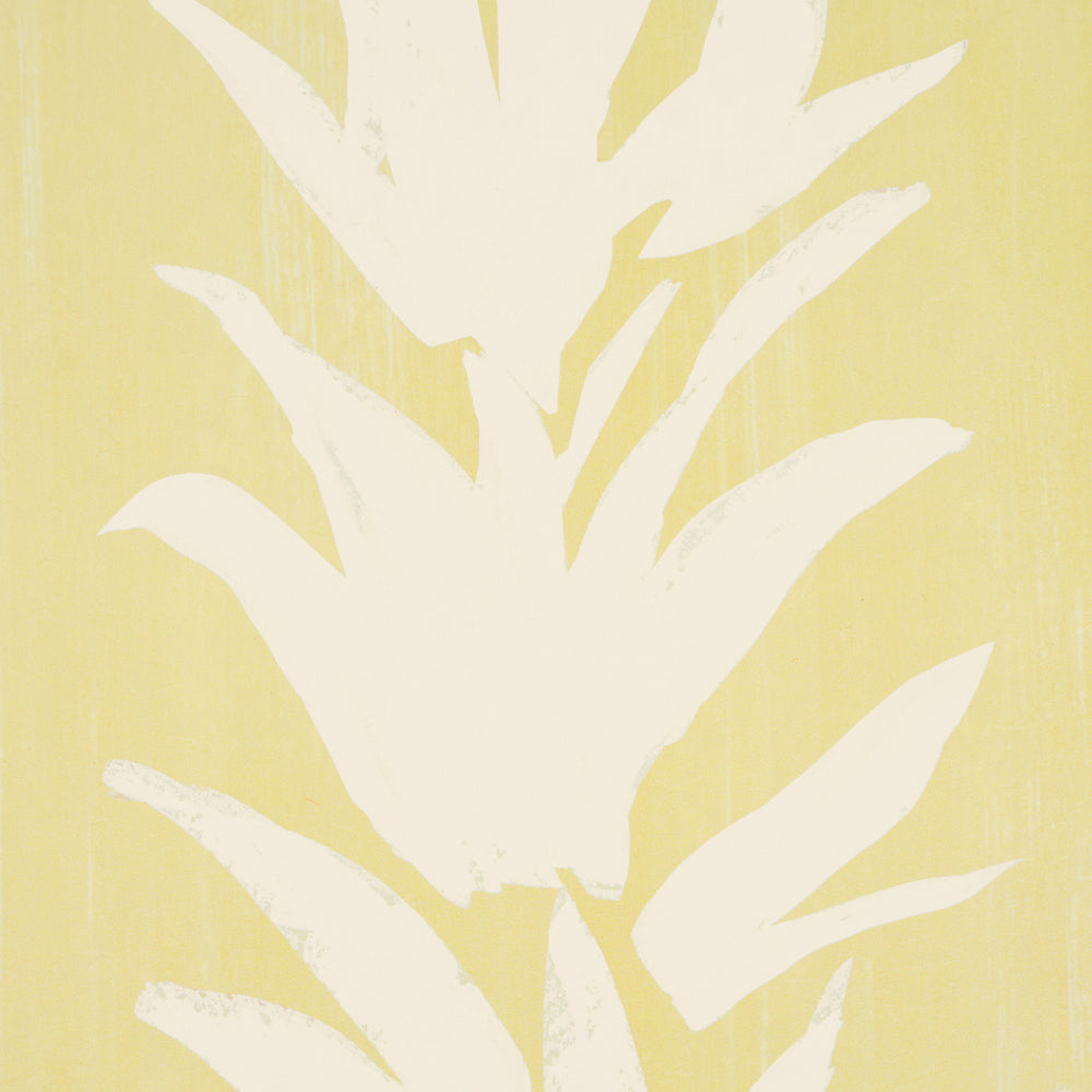 WHITE LOTUS | Light Yellow