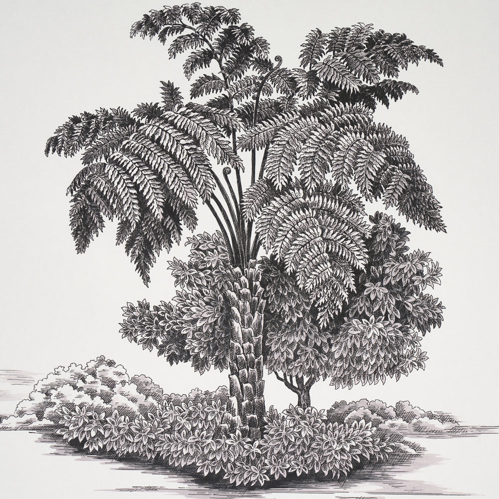 TOILETTE TOUSSAINT | NERO SU AVORIO