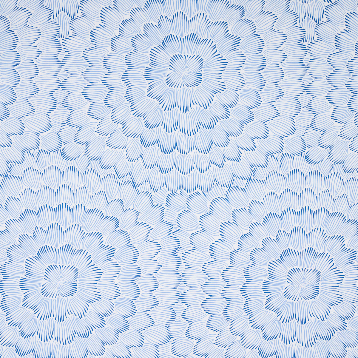 FIORITURA DI PIUME | BLU