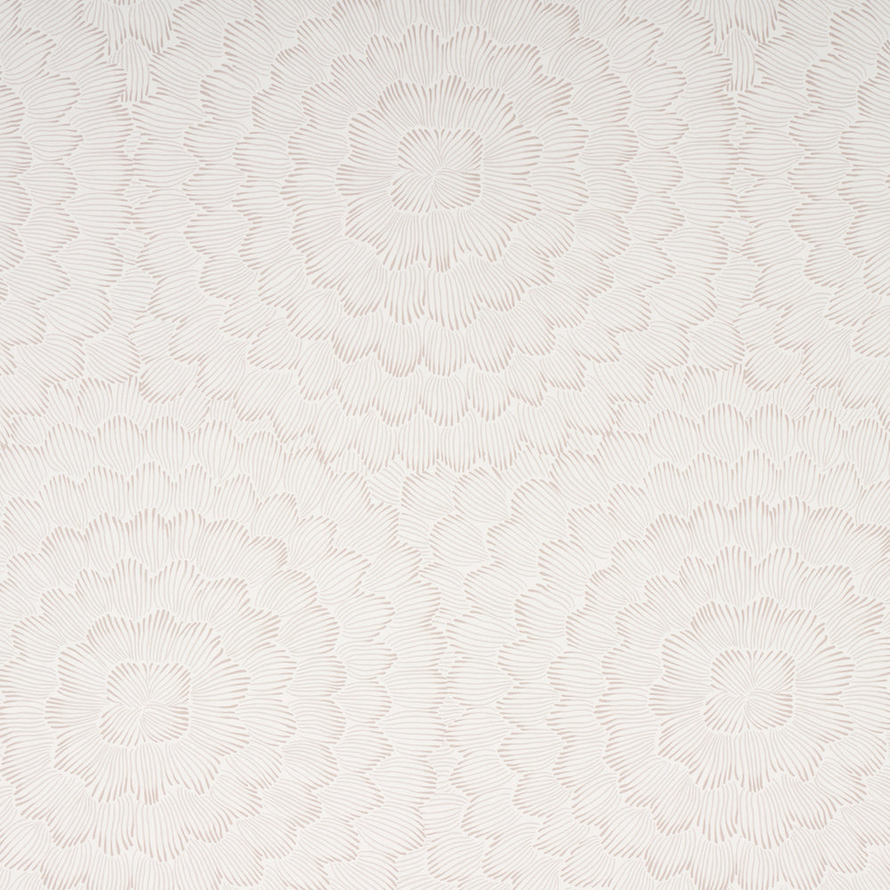 FIORITURA DI PIUME | NEUTRO MORBIDO