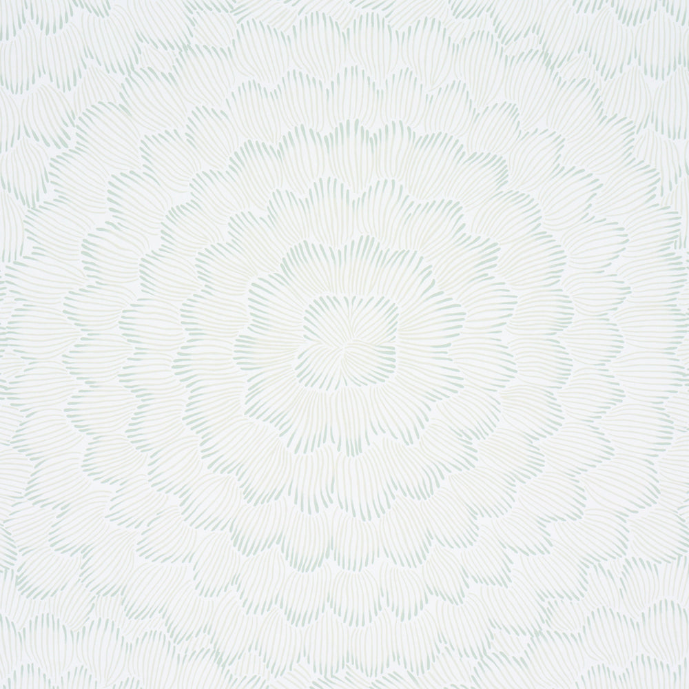 FEATHER BLOOM | Seaglass