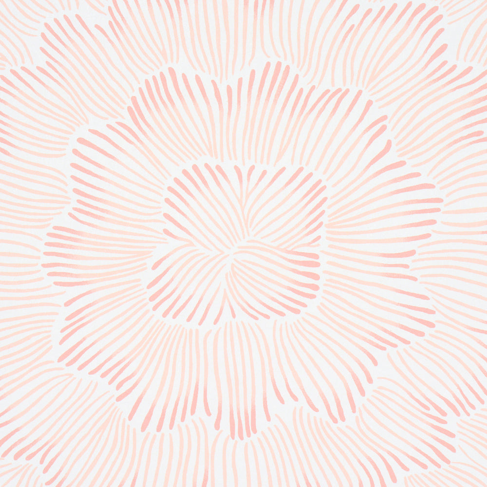 FEATHER BLOOM | Salmon