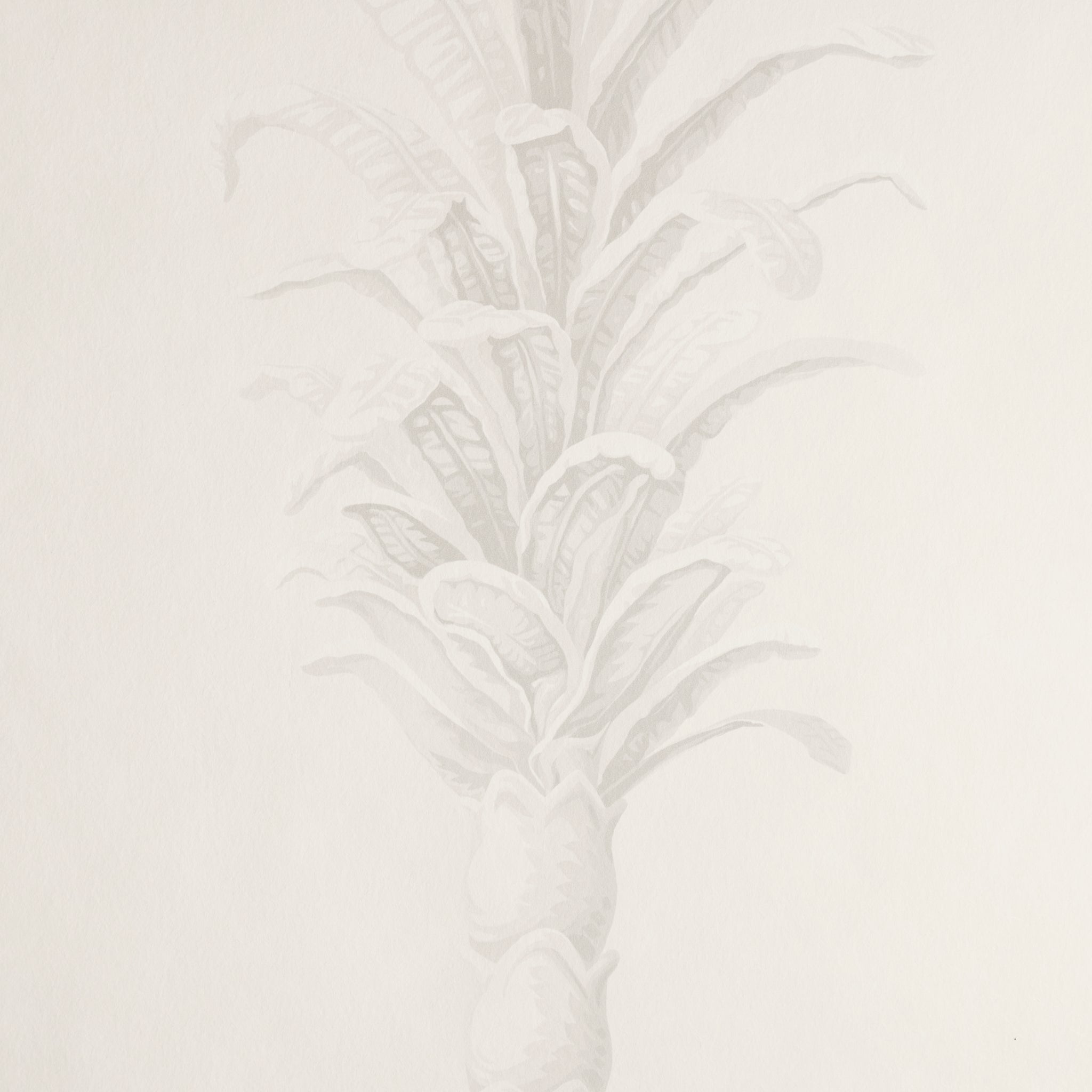 PANNELLO PALME DELLA VILLA | BIANCO/AVORIO