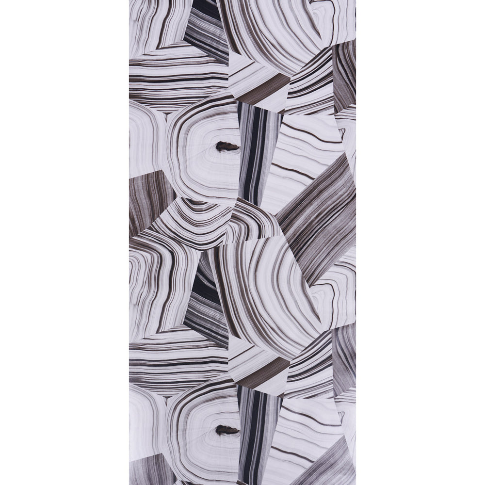 AGATE SLICE | Black And White