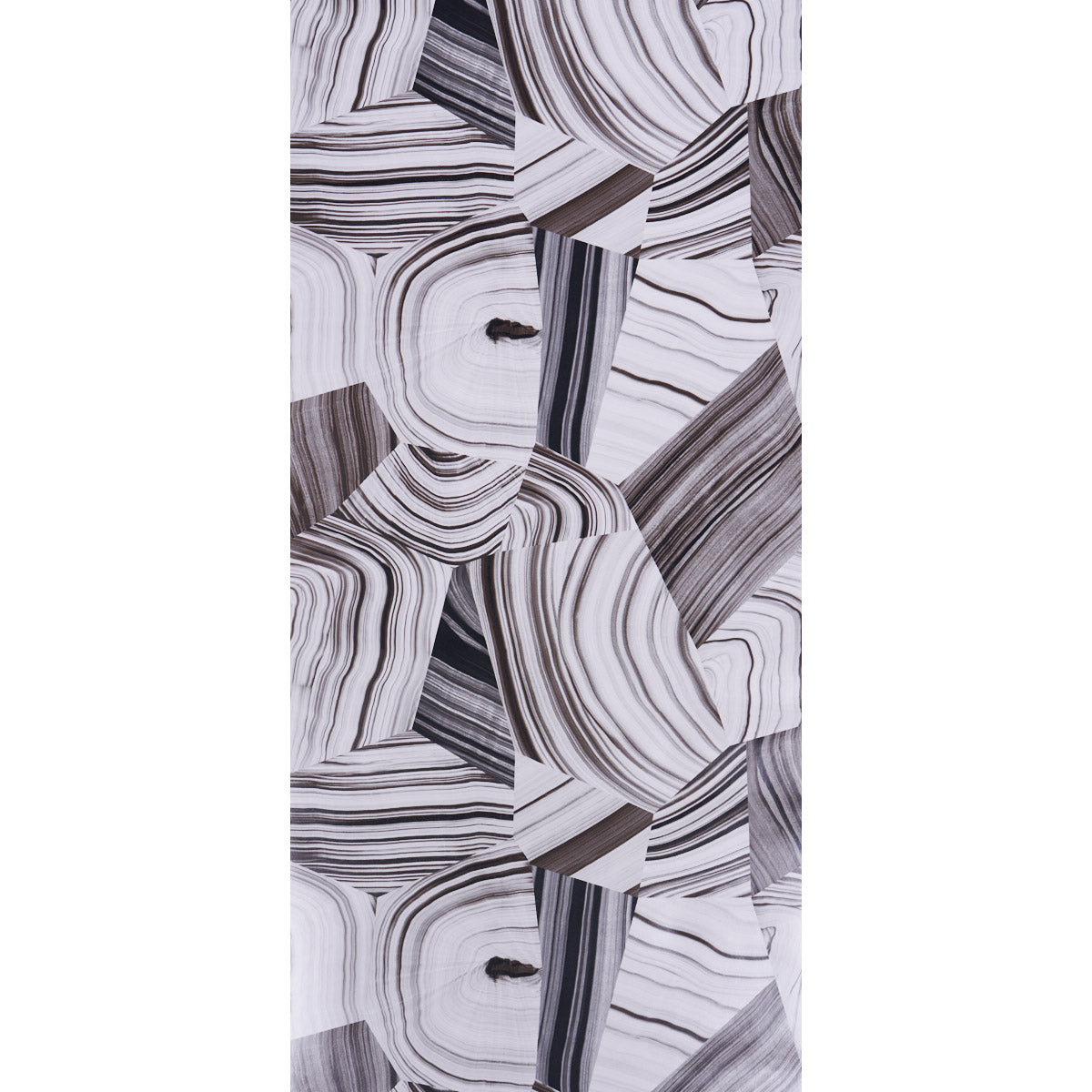 AGATE SLICE | Black And White