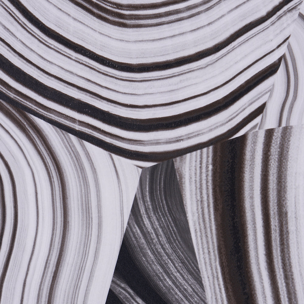 AGATE SLICE | Black And White