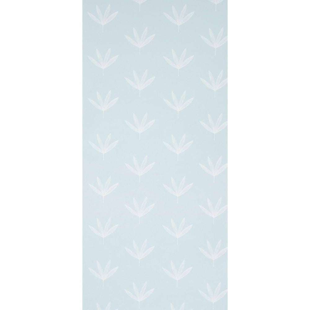 RUE | Sky