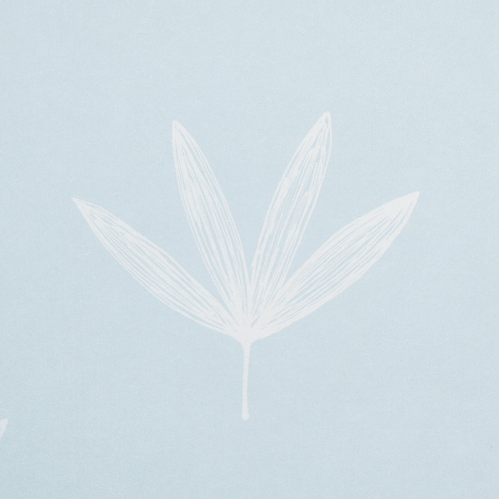 RUE | Sky