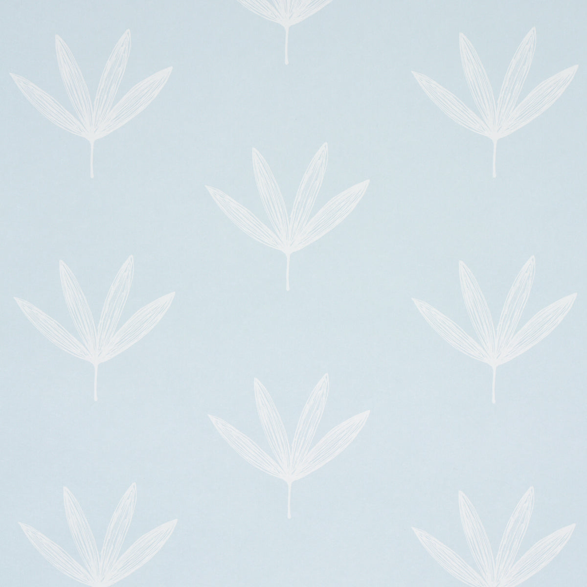 RUE | Sky