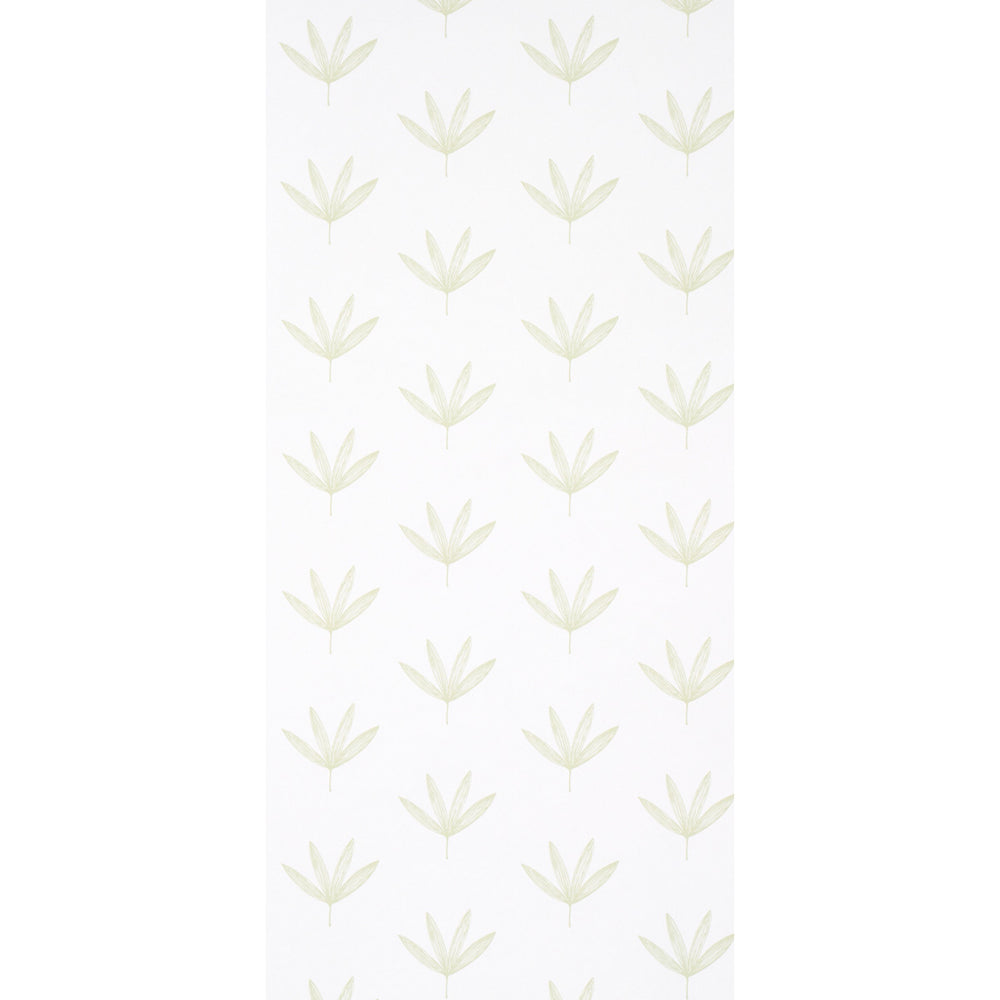 RUE | Green