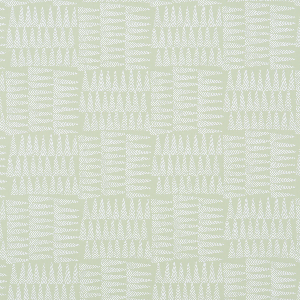 CHARLIE | Green