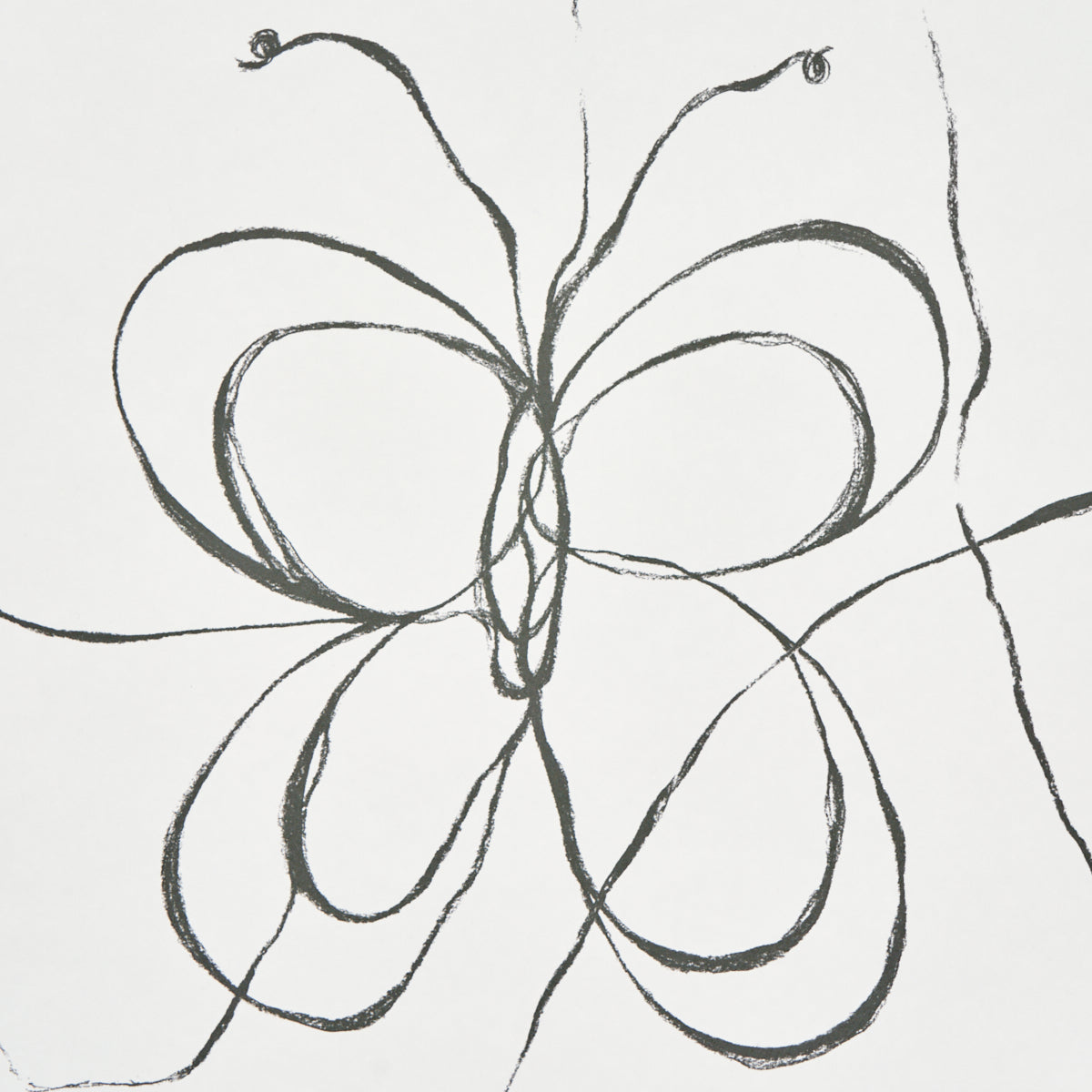 COME BACK AS A FLOWER | Soft Black